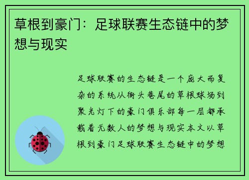 草根到豪门：足球联赛生态链中的梦想与现实